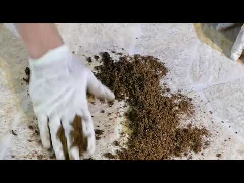 SORB®XT Organic Binder vs Old Motor Oil