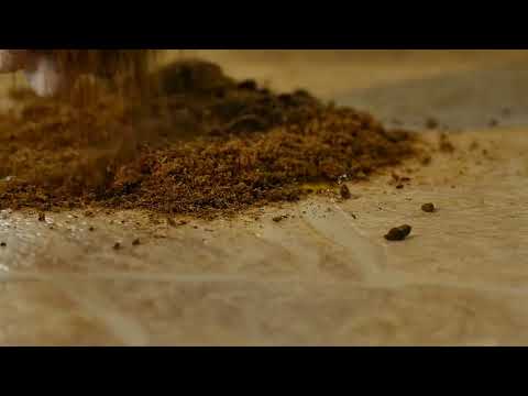 SORB®XT Organic Binder vs Hydraulic Oil