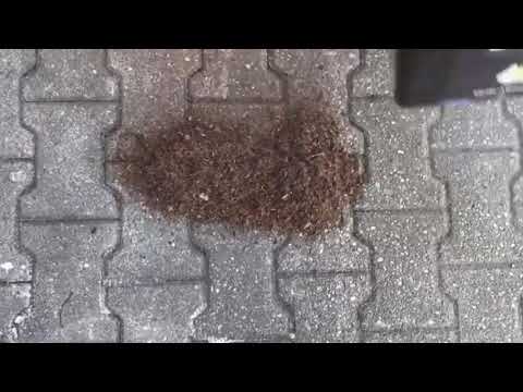 SORB®XT Organic Binder vs Paint on Paving Stones